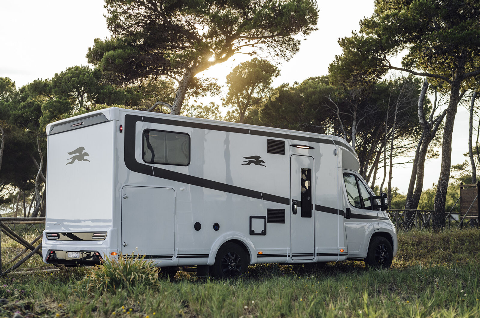 Camper nuova deals collezione